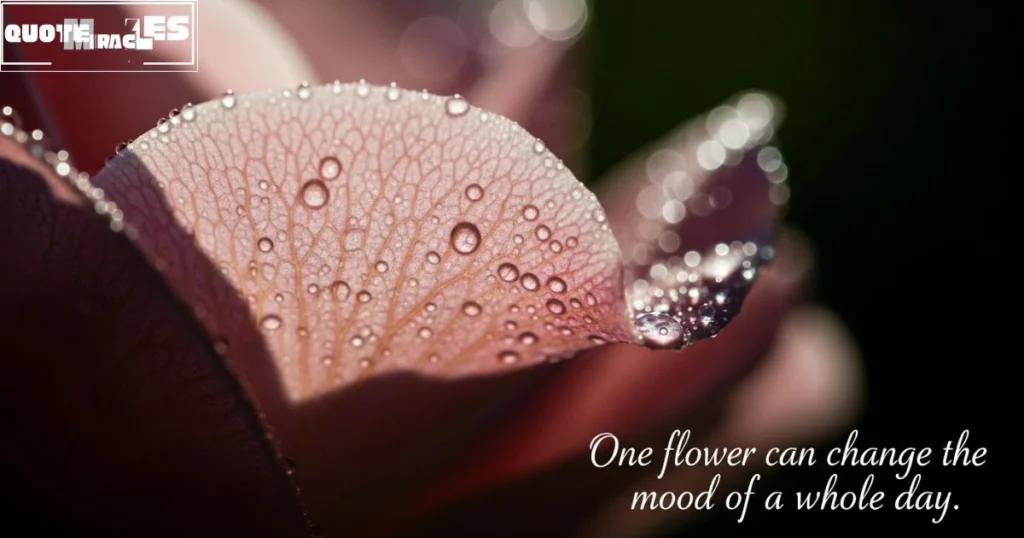 Flower Quote