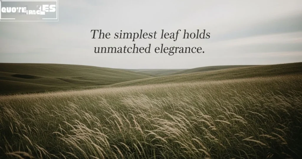 Natural Beauty Quotes