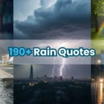 Rain Quotes
