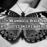 Black and White Quotes