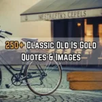 Old Is Gold Quotes