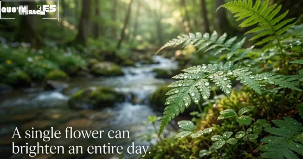 Short Nature Quotes