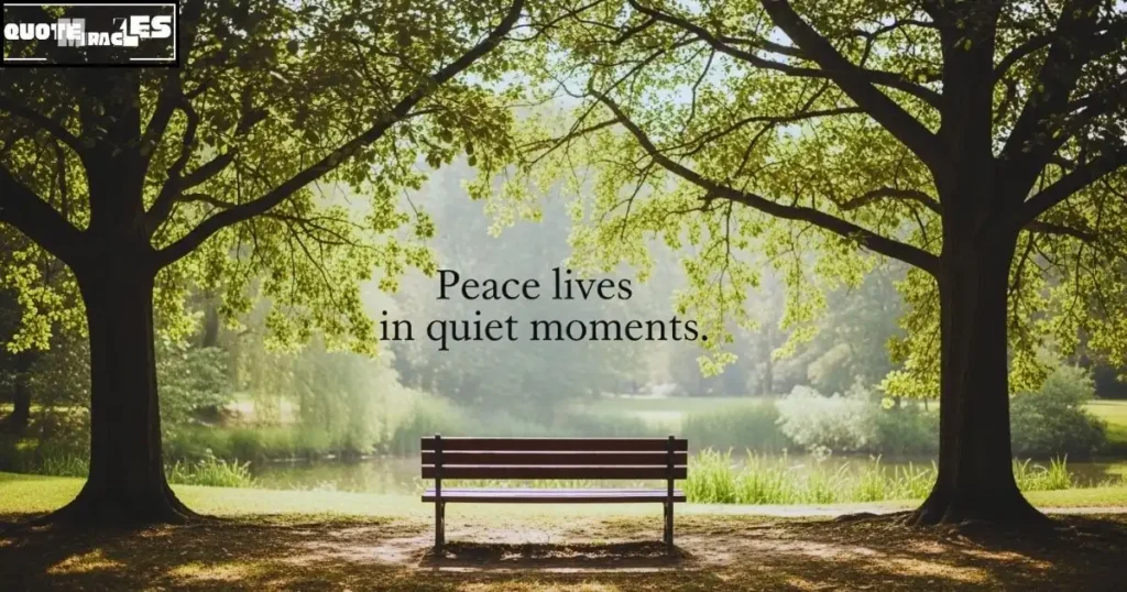 Beautiful Afternoon Quotes