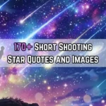 Shooting Star Quotes