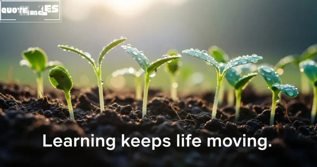 Short Quotes About Change and Growth