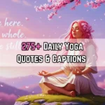 Yoga Quotes