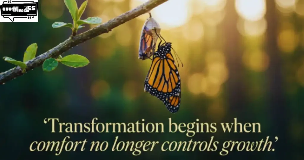 Trust the Process Quotes About Personal Transformation