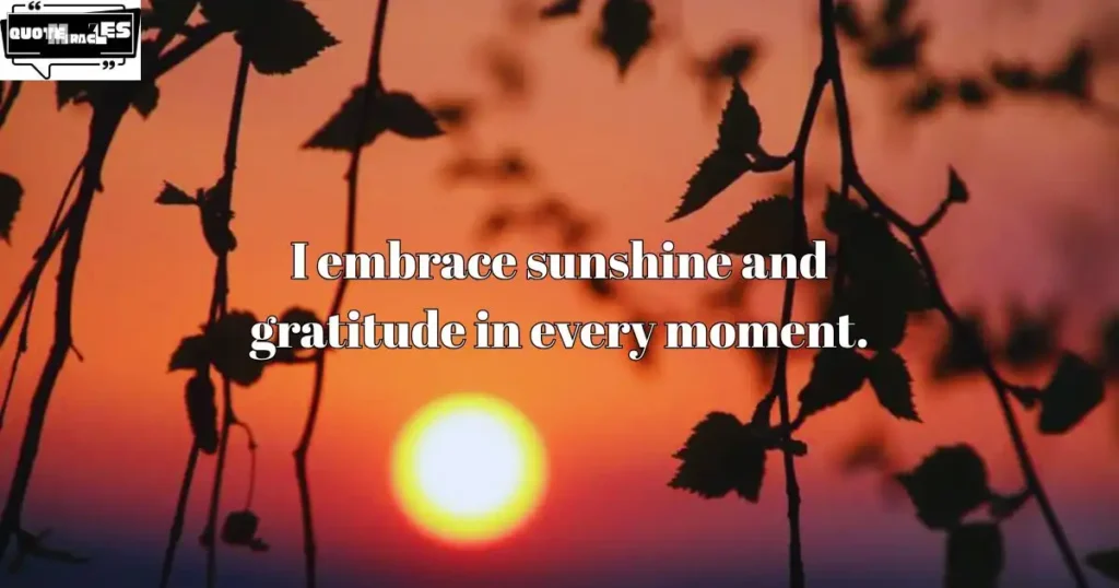 Creative Sunshine Affirmations for Journals and Notebooks