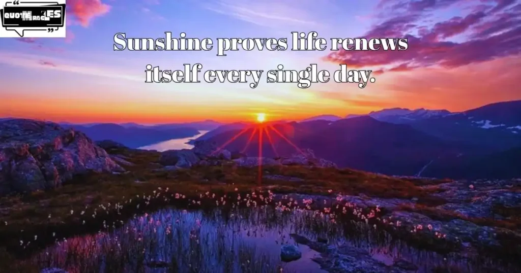 Deep Sunshine Quotes About Life Lessons and Perspective