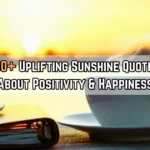 Sunshine Quotes